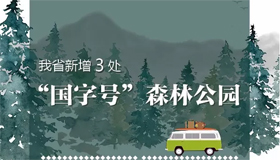 【圖解】我省新增3處“國(guó)字號(hào)”森林公園