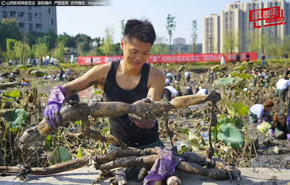 大學生種植5畝蓮藕