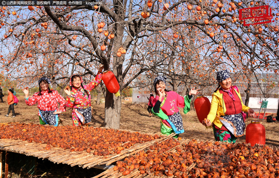 孝義：紅柿枝頭醉深秋 