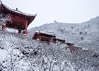 瑞雪降山城 美如仙境 