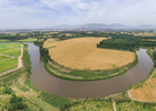 田園豐收美景如畫(huà)