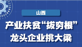 【圖解】產(chǎn)業(yè)扶貧“拔窮根” 龍頭企業(yè)挑大梁