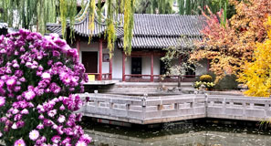 碑林公園秋景如畫(huà)