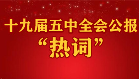 【圖解】十九屆五中全會公報(bào) 這個(gè)詞出現(xiàn)頻率最高