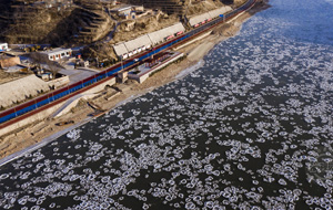 黃河呂梁段現(xiàn)流凌景觀