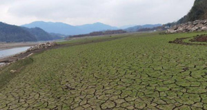 50年一遇！浙江多地旱情嚴(yán)重