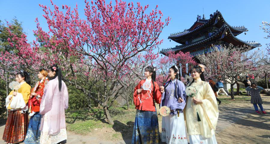 南京國(guó)際梅花節(jié)開幕