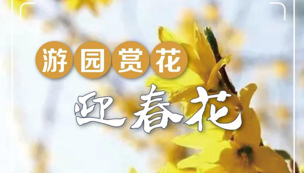 【海報】不負(fù)好春光！來看山西最美花世界