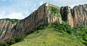 蒼松翠柏陽曲山