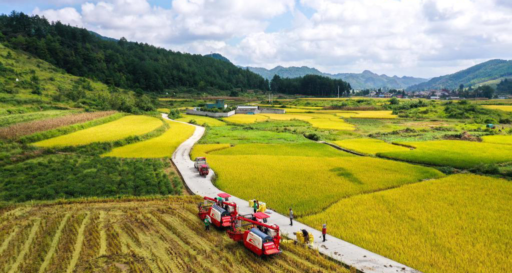 透視2021年中國(guó)經(jīng)濟(jì)答卷