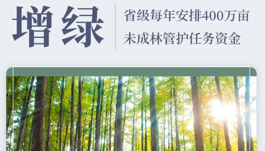 【海報】增綠提質(zhì) 今年山西林草發(fā)展藍(lán)圖繪就