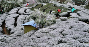 多地迎來降雪