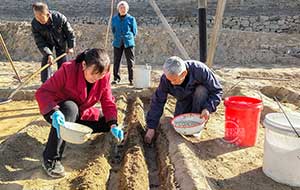 孝義：人勤春來(lái)早 農(nóng)民種蒜忙