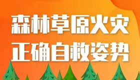 【圖解】森林草原火災正確自救姿勢