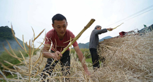 貴州綏陽(yáng)：初夏田園美如畫(huà)