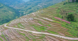 重慶豐都：夏耕美景入畫來(lái)