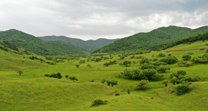 夏日關(guān)山綠茵似毯