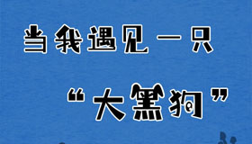 【長圖】當(dāng)我遇見一只“大黑狗”