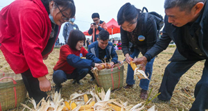 杭州瓶窯舉辦農(nóng)民豐收運動會