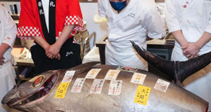 日本“大間金槍魚”贏得新年首拍最高價