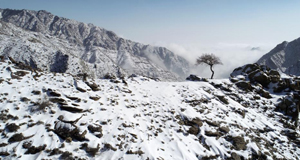 云蒸霧繞 雪后賀蘭山