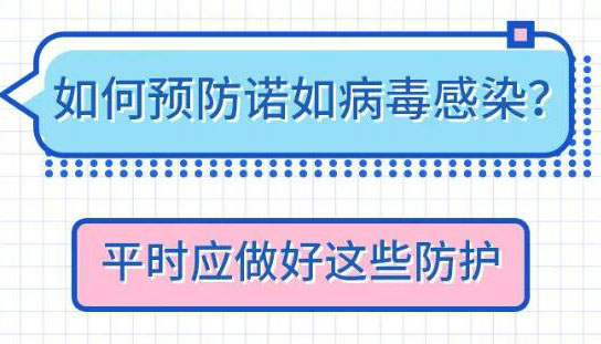 【圖解】腹瀉？嘔吐？或是這種病毒在作祟！