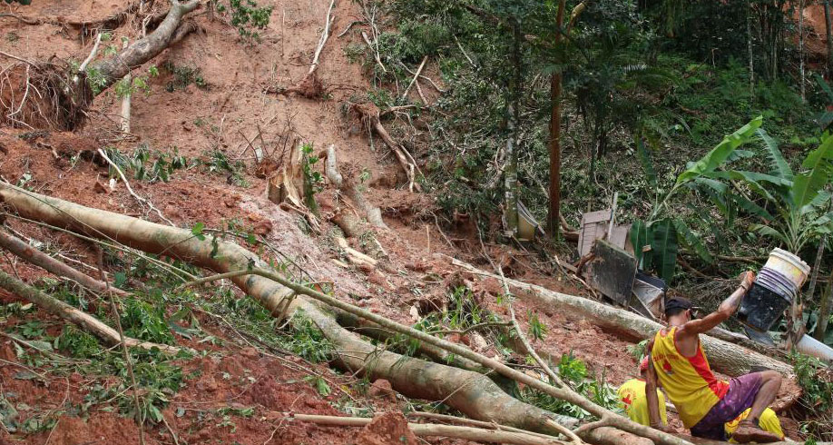 巴西圣保羅州暴雨災害死亡人數升至48人