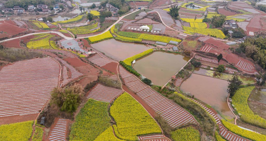 田園春景