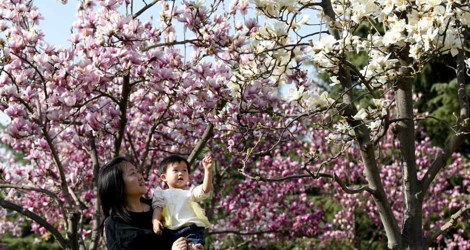 春光無(wú)限好 滿眼繁花燦