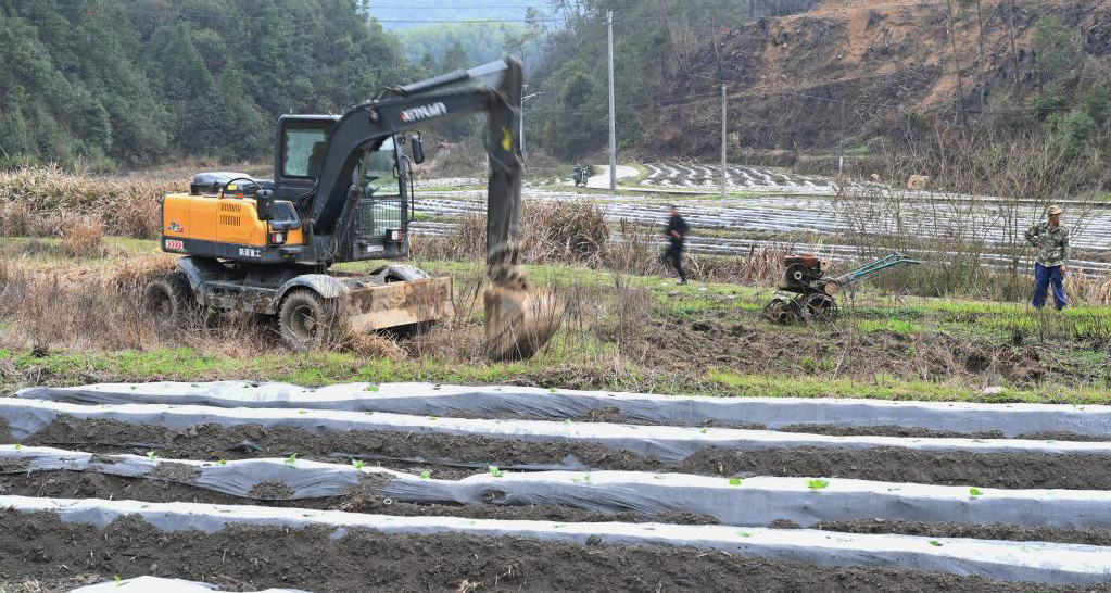 積極探索撂荒地治理新模式