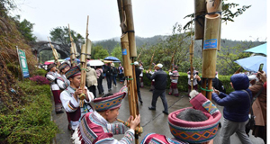 “粵桂協(xié)作”旅游專列開進大苗山