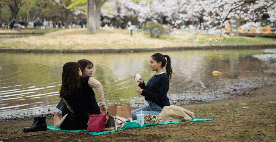 日本東京：春分休閑