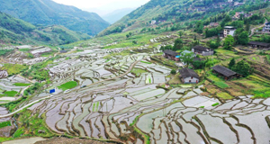 福建尤溪：聯合梯田重煥生機