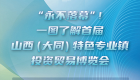 【圖解】首屆山西(大同)特色專(zhuān)業(yè)鎮(zhèn)投資貿(mào)易博覽會(huì)