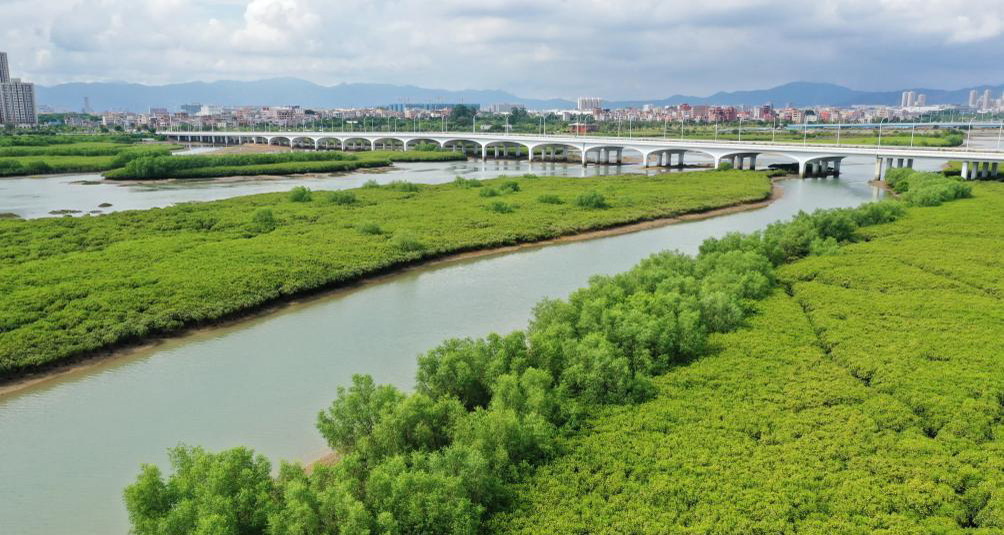 福建廈門：打造良好海洋生態(tài)環(huán)境