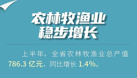 【海報】一組數(shù)據(jù)了解上半年山西農(nóng)業(yè)經(jīng)濟發(fā)展態(tài)勢