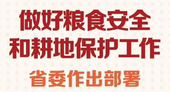 做好糧食安全和耕地保護工作，省委作出部署