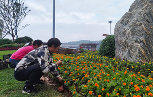 山西陽(yáng)城：鮮花扮靚城市