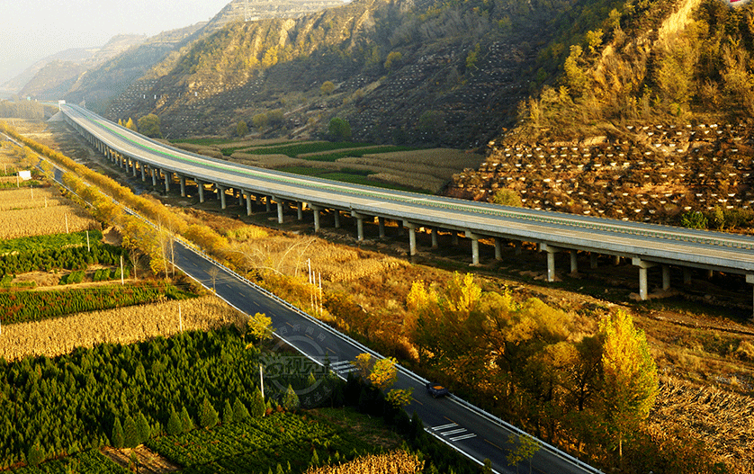 高速公路兩旁秋景如畫