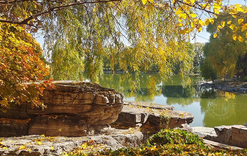 晉祠公園醉美秋景