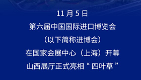 【圖解】第六屆進(jìn)博會(huì)開幕 山西展廳亮相四葉草