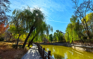 迎澤公園初冬美景如畫