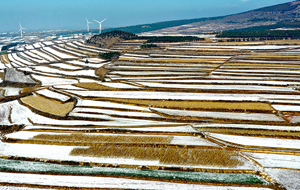 雪后平陸萬(wàn)畝梯田景美如畫