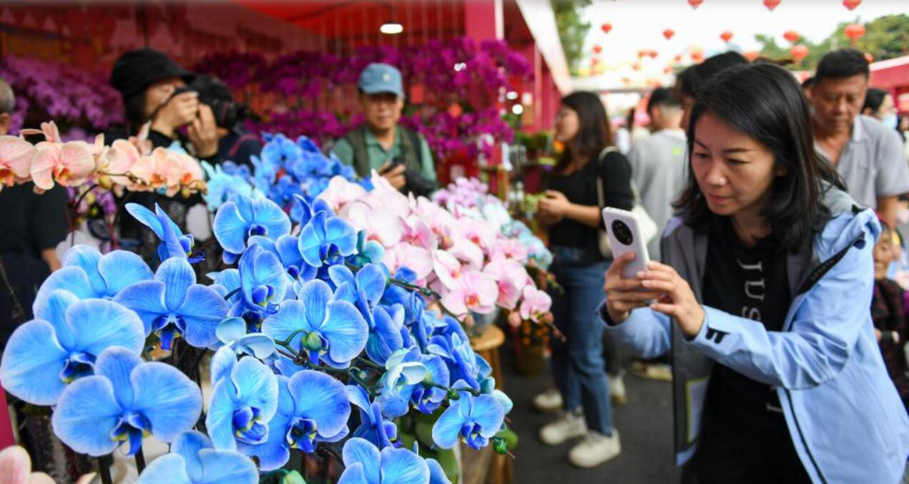 逛花市 尋年味