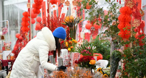 成都：逛年宵花市 喜迎新春