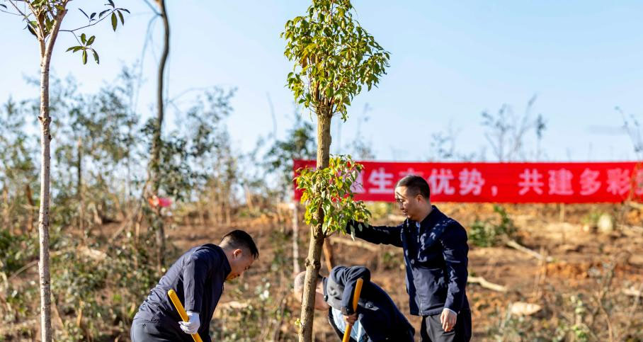 貴州：植樹添新綠