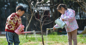 植樹迎春