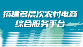 【海報(bào)】六方面助力農(nóng)民收入和農(nóng)村消費(fèi)雙提升