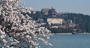 花開頤和園