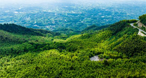 重慶：茶山竹海風(fēng)光旖旎